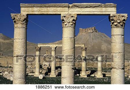Colonnade At Palmyra View Large Photo Image Stock Image - Colonnade At Palmyra. Fotosearch