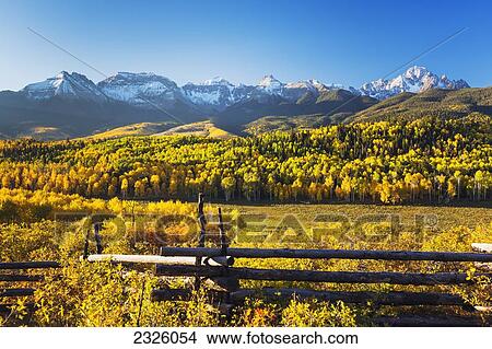 Colorado, Dallas Divide, Beautiful Autumn Landscape, Snow Covered Aspen Mountains In Distance. View Large Photo Image Picture - Colorado, Dallas Divide, Beautiful Autumn Landscape, Snow Covered Aspen Mountains In Distance.. Fotosearch