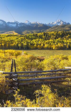 Colorado, Dallas Divide, Beautiful Autumn Landscape, Snow Covered Aspen Mountains In Distance. View Large Photo Image Stock Photograph - Colorado, Dallas Divide, Beautiful Autumn Landscape, Snow Covered Aspen Mountains In Distance.. Fotosearch