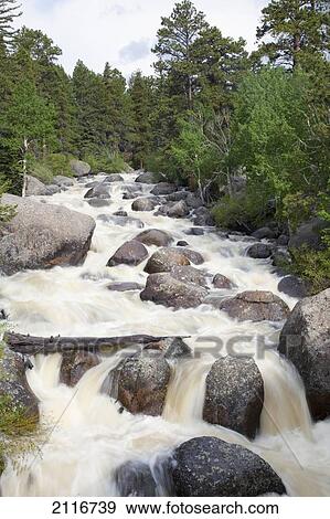 Colorado, Rocky Mountains, A raging river with lush foliage. View Large Photo Image Stock Photo - Colorado, Rocky Mountains, A raging river with lush foliage.. Fotosearch