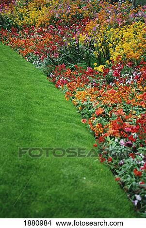 Picture - Colorful Flowers And Grass In Paris, Close-Up. Fotosearch