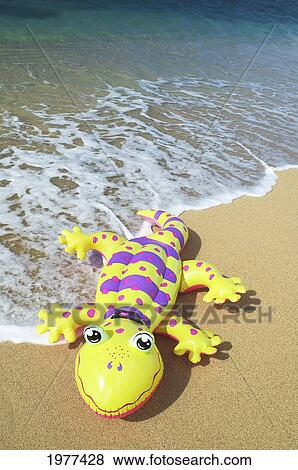 Colorful Inflatable Gecko Laying On Beach. View Large Photo Image Stock Photo - Colorful Inflatable Gecko Laying On Beach.. Fotosearch