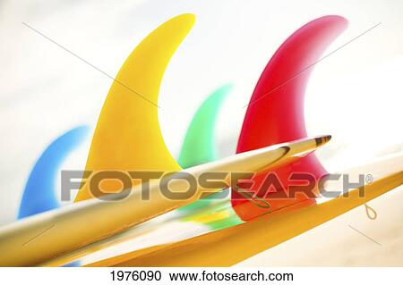Colorful Surfboards Fins, Bright Sunny Sky In Background. View Large Photo Image Stock Image - Colorful Surfboards Fins, Bright Sunny Sky In Background.. Fotosearch