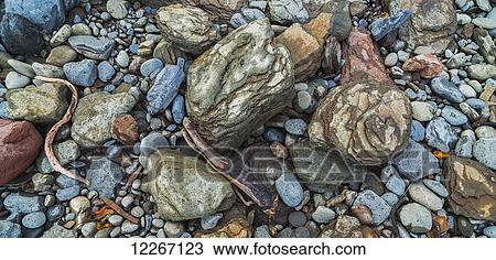 Stock Image - Coloured stones on a beach along the shoreline of Iceland; Iceland. Fotosearch