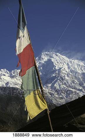 Stock Photo - Colourful Flag In Front Of Annapurna South. Fotosearch