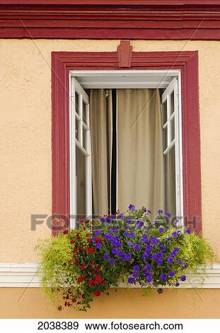 Stock Photo - Colourful Flowers In A Flower Box In An Open Window; Quebec City Quebec Canada. Fotosearch
