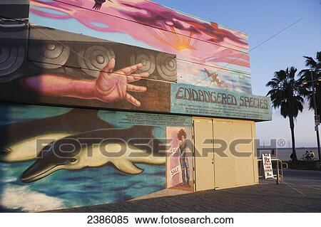 Colourful paintings on the side of a building at the coast; California, United States of America View Large Photo Image Stock Photography - Colourful paintings on the side of a building at the coast; California, United States of America. Fotosearch