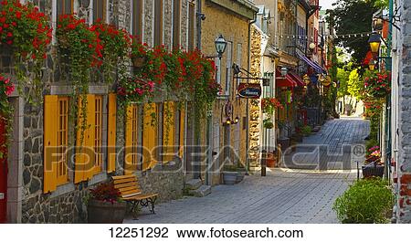 Stock Image - Colourful street with shutters and blossoming flowers; Quebec City, Quebec, Canada. Fotosearch