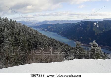 Columbia River Gorge Seen From Dog Mountain, Washington, Usa View Large Photo Image Stock Photo - Columbia River Gorge Seen From Dog Mountain, Washington, Usa. Fotosearch