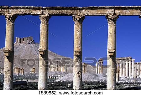 Stock Image - Columns At Ruins Of Palmyra. Fotosearch