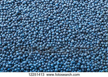 Stock Image - Commercial canola seed that has been treated with a protective anti-fungal coating. Fotosearch