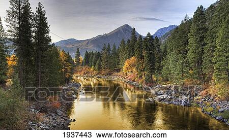 Stock Image - Composite Entitled 'river Of Gold' Taken From A Bridge Over The Icicle River; Leavenworth Washington United States Of America. Fotosearch