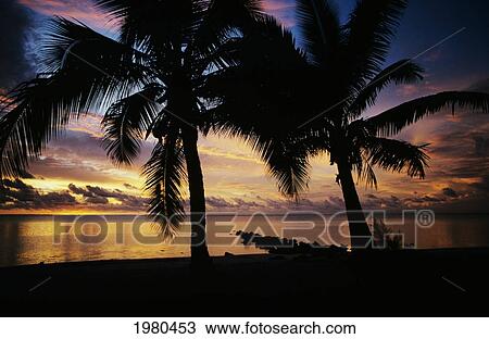Stock Image - Cook Islands, Aitutaki, Silhouetted Beach And Palm Trees At Sunset.. Fotosearch