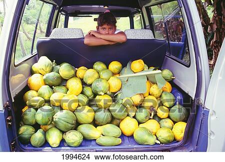 Cook Islands, Young Girl In Truck Looks Over Front Seat, Back Is Filled With Papaya For Sale View Large Photo Image Picture - Cook Islands, Young Girl In Truck Looks Over Front Seat, Back Is Filled With Papaya For Sale. Fotosearch