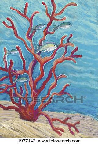 Coral Assets, Fish And Coral Branch On Seafloor (Pastel). View Large Photo Image Stock Image - Coral Assets, Fish And Coral Branch On Seafloor (Pastel).. Fotosearch