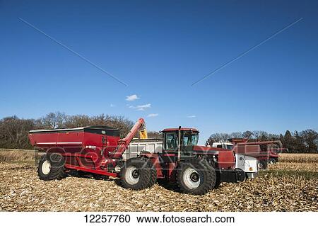 Stock Image - Corn harvesting; Savage, Minnesota, United States of America. Fotosearch