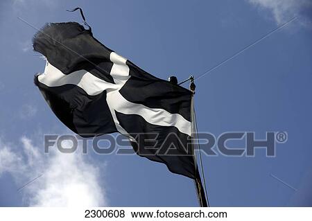 Cornish Flag Flying, North Cornwall, England, Uk. View Large Photo Image Stock Photo - Cornish Flag Flying, North Cornwall, England, Uk.. Fotosearch