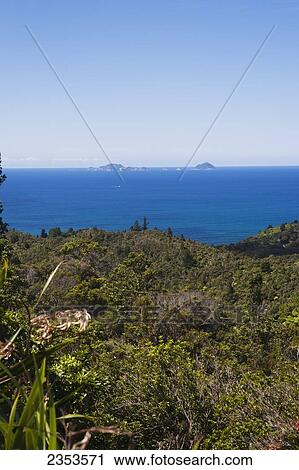 Corremandal Peninsula In Hahei; New Zealand View Large Photo Image Stock Image - Corremandal Peninsula In Hahei; New Zealand. Fotosearch