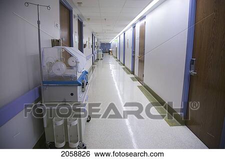 Stock Photograph - Corridor With Incubators In Maternity Ward, Women's College Hospital, No Property Release, Toronto, On. Fotosearch