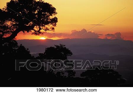 Costa Rica, Monteverde Park, Orange Sunset On Horizon, Silhouetteed Tree On Hillside. View Large Photo Image Stock Image - Costa Rica, Monteverde Park, Orange Sunset On Horizon, Silhouetteed Tree On Hillside.. Fotosearch