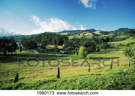 Costa Rica, Rural Landscape Of Grassy Hills And Country Homes. View Large Photo Image Stock Image - Costa Rica, Rural Landscape Of Grassy Hills And Country Homes.. Fotosearch