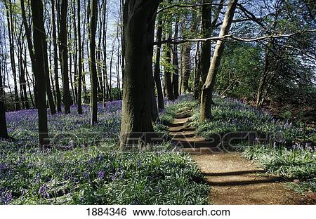 Coton Manor Gardens View Large Photo Image Stock Photograph - Coton Manor Gardens. Fotosearch