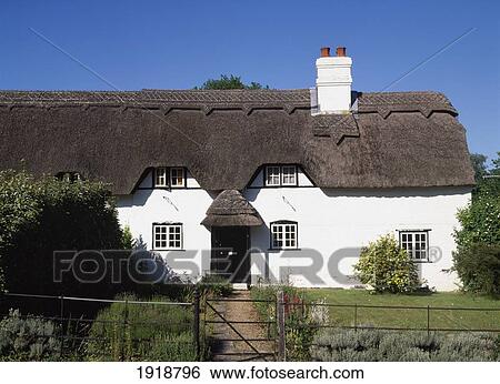 Cottage In The áNew Forest View Large Photo Image Stock Photograph - Cottage In The áNew Forest. Fotosearch