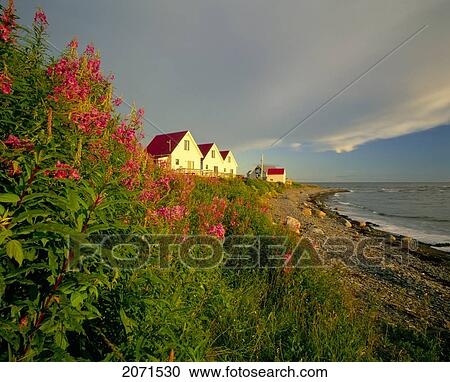 Stock Image - Cottages On St Lawrence River, Petit Vallee, Gaspesie, Quebec. Fotosearch