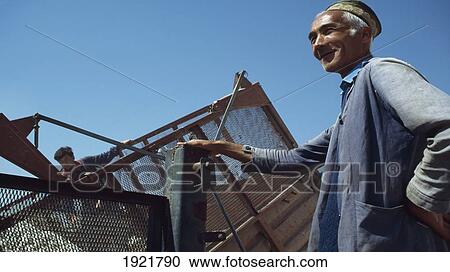 Stock Image - Cotton Harvesting. Fotosearch