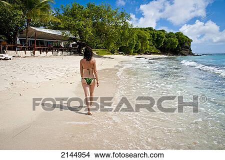 Cotton House Beach In Mustique Island, St Vincent And The Grenadines, West Indies View Large Photo Image Picture - Cotton House Beach In Mustique Island, St Vincent And The Grenadines, West Indies. Fotosearch