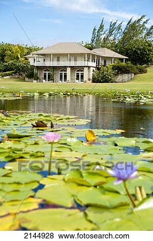 Cotton House In Mustique Island, St Vincent And The Grenadines, West Indies View Large Photo Image Stock Photo - Cotton House In Mustique Island, St Vincent And The Grenadines, West Indies. Fotosearch