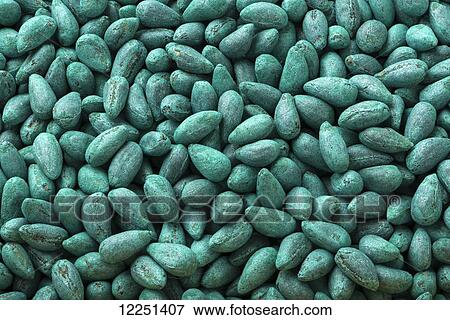 Cotton seeds that have been treated with a protective, anti-fungal coating for planting View Large Photo Image Stock Photo - Cotton seeds that have been treated with a protective, anti-fungal coating for planting. Fotosearch