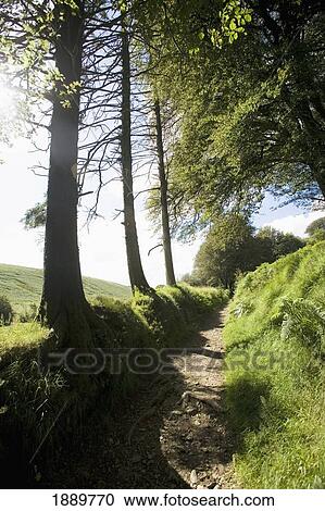Country Footpath Through Edge Of Woods View Large Photo Image Stock Image - Country Footpath Through Edge Of Woods. Fotosearch