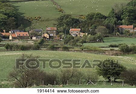 Picture - Countryside. Fotosearch