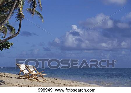 Couple Beach Chairs In Sand With Palm Trees And Blue Sky B1457 View Large Photo Image Stock Photo - Couple Beach Chairs In Sand With Palm Trees And Blue Sky B1457. Fotosearch