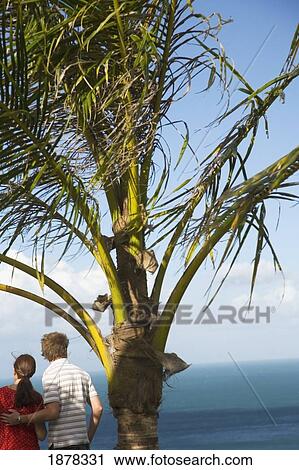 Couple By Palm Tree Looking At Turquoise Sea View Large Photo Image Stock Image - Couple By Palm Tree Looking At Turquoise Sea. Fotosearch