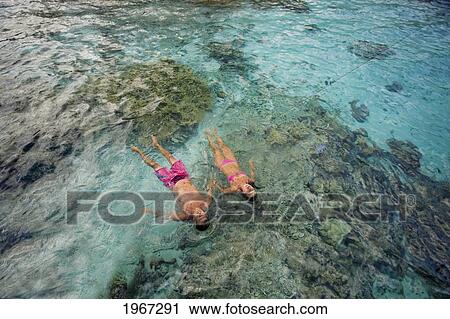 Couple Floating Together In Tropical Ocean Water Over Reef. View Large Photo Image Stock Image - Couple Floating Together In Tropical Ocean Water Over Reef.. Fotosearch