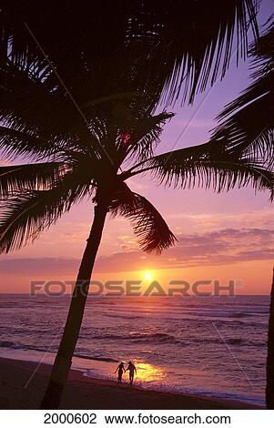 Stock Image - Couple In Distance On Beach Shoreline At Sunset, Palms, Silhouetted, Purple Orange Sky. Fotosearch