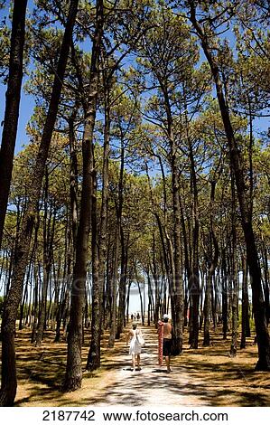 Stock Image - Couple On A Track Going To The Beach Through The Trees In Gorriti Island, Punta Del Este, Uruguay, South America. Fotosearch