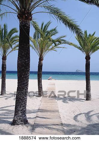 Picture - Couple On Empty Stretch Of Benidorm Beach. Fotosearch