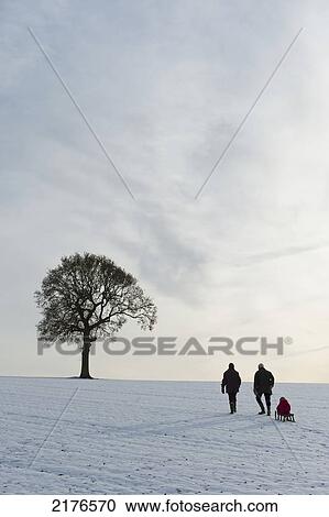 Stock Image - Couple Pulling Child On Sledge Up Hill Covered In Snow Towards Solitary Oak Tree, Petersfield, Hants, Uk. Fotosearch