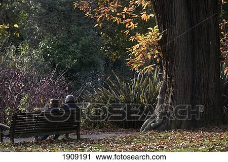 Stock Image - Couple Sitting On Bench In Greenwich Park, London, Uk. Fotosearch