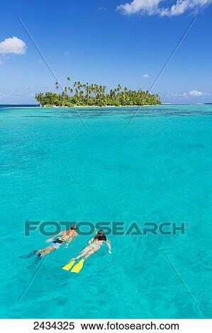 Couple snorkelling in aqua blue water in front of tropical island; Raiatea, French Polynesia View Large Photo Image Stock Photography - Couple snorkelling in aqua blue water in front of tropical island; Raiatea, French Polynesia. Fotosearch