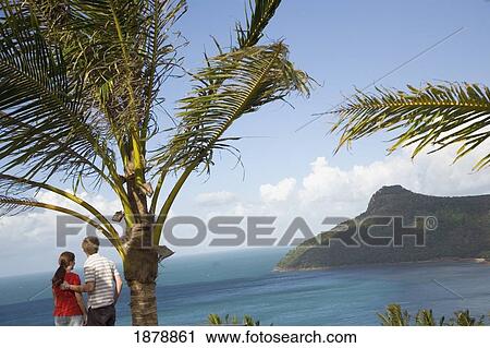 Stock Image - Couple Standing By Palm Tree Overlooking Island And Coast. Fotosearch