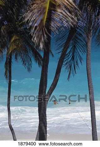 Stock Image - Couple Swimming In Bottom Bay Beach. Fotosearch