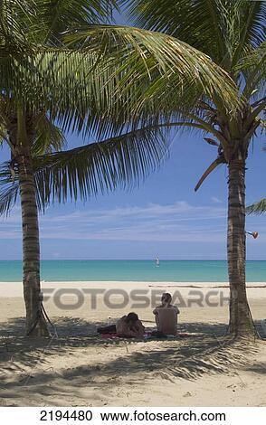 Stock Image - Couple Under Palm Trees, Cabarete, Dominican Republic.. Fotosearch