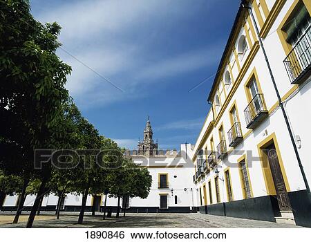 Stock Photograph - Courtyard With Orange Trees With Top Of La Giralda In Distance. Fotosearch