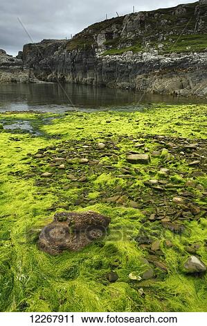 Stock Image - Cove on Inishturk Island, Wild Atlantic Way; County Mayo, Ireland. Fotosearch
