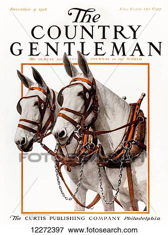 Cover of Country Gentleman agricultural magazine from the early 20th century View Large Photo Image Stock Photo - Cover of Country Gentleman agricultural magazine from the early 20th century. Fotosearch