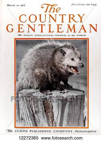 Cover of Country Gentleman agricultural magazine from the early 20th century View Large Photo Image Stock Photography - Cover of Country Gentleman agricultural magazine from the early 20th century. Fotosearch